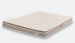 JESMARY – NỆM FOAM CHO GIA ĐÌNH TRẺ – ÊM ÁI, AN TOÀN, TIỆN NGHI