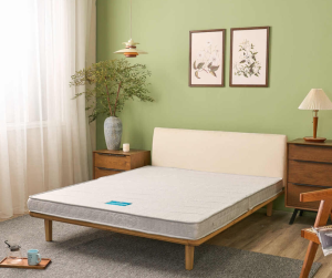 JESMARY – NỆM BÔNG ÉP CHẤT LƯỢNG CAO – LỰA CHỌN ỔN ĐỊNH CHO GIẤC NGỦ GIA ĐÌNH VIỆT