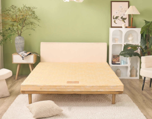 JESMARY – NỆM BÔNG ÉP CHO KHÁCH SẠN VÀ HOMESTAY – GIẢI PHÁP TIẾT KIỆM, BỀN BỈ VÀ HIỆU QUẢ