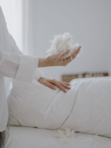 Jesmary - Gối lông vũ xưởng sản xuất giá rẻ êm nhẹ hoàn thiện không gian ngủ tại Hồ Chí Minh