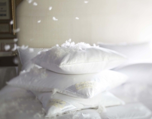 Jesmary - Gối lông vũ xưởng sản xuất giá rẻ bền đẹp đồng hành giấc ngủ sâu tại Hồ Chí Minh