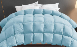 Jesmary – Chăn Mền Cao Cấp Dịu Êm Vỗ Về Giấc Ngủ Sâu Cho Mọi Gia Đình