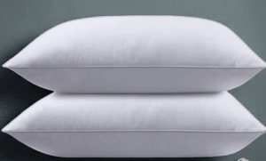 Jesmary - Xưởng sản xuất gối lông vũ giá rẻ đạt chuẩn xuất khẩu quốc tế tại Hồ Chí Minh