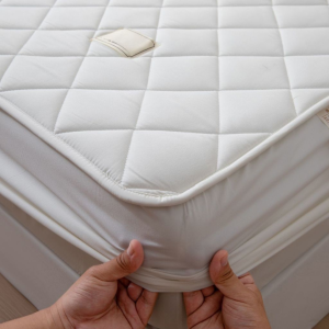 JESMARY - Bảo Vệ Đệm Đặt May Số Lượng Lớn Xưởng Sản Xuất Địa Chỉ Rõ