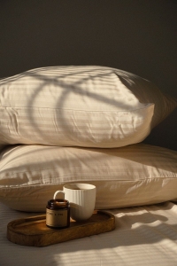 Jesmary – Xưởng Sản Xuất Gối Bông Cao Cấp Tại Hồ Chí Minh, Nơi Hội Tụ Tinh Hoa Chất Liệu, Giá Thị Trường Cạnh Tranh, Giá Rẻ Tại Xưởng