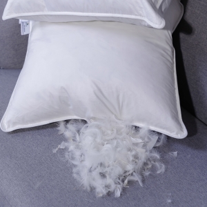 Jesmary – Xưởng Sản Xuất Gối Lông Vũ Cao Cấp Tại Hồ Chí Minh, Kiến Tạo Không Gian Nghỉ Ngơi Chuẩn Thượng Hạng Với Công Nghệ Tinh Luyện Và Độ Êm Ái