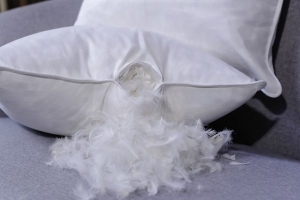 Jesmary – Xưởng Sản Xuất Gối Lông Vũ Cao Cấp Tại Hồ Chí Minh, Nơi Hội Tụ Tinh Hoa Thủ Công, Công Nghệ Hiện Đại Và Chuẩn Mực Giấc Ngủ Thượng Lưu