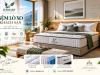 JESMARY - Xưởng Sản Xuất Nệm Lò Xo Khách Sạn JESMARY: Chiến Lược Quản Trị Vòng Đời Sản Phẩm & Chính Sách Bảo Hành Dài Hạn Cho Chuỗi Lưu Trú